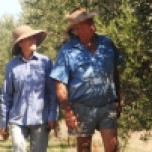Karen &; Bill McLennan at Outback Olive Grove Sommariva Charleville